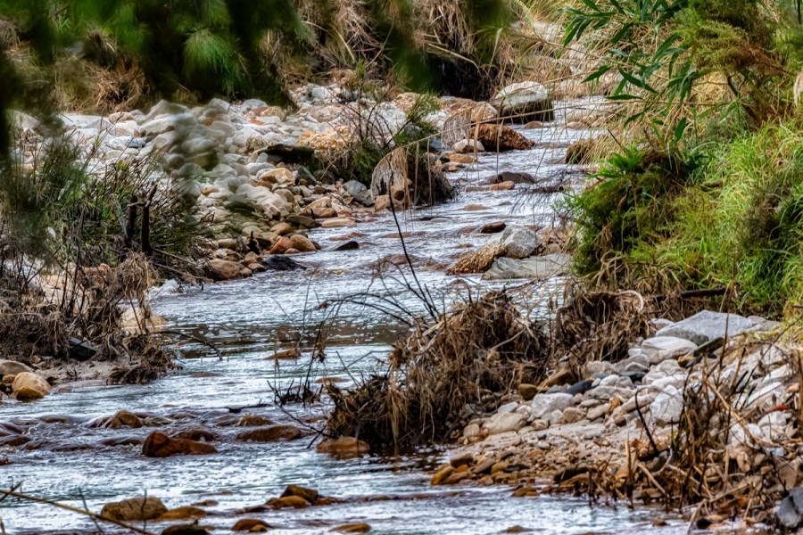 Commercial Property for Sale in Napier Western Cape